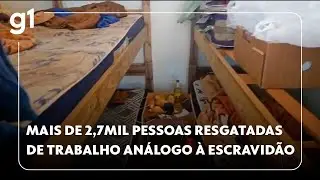 Mais de 2,7 mil pessoas foram resgatadas de trabalho análogo à escravidão em 2025 #g1