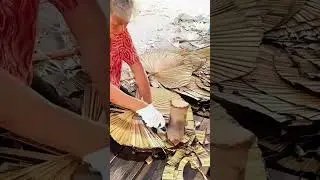 Palm leaf fan making process