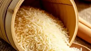 Rice 🌾 Eating 🍚 Box/Box Eating 🍚 Rice 🌾/Rice 🌾 Rice/Eating 🍚🍚 /Rice 🌾 Eating 🍚 Lovers 