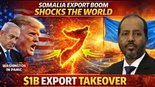 Why  SOMALIA'S $1B EXports boom is a nightmare for America's global trade power