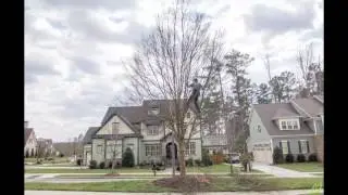 Time Lapse: How to Trim a Chinese Elm Tree