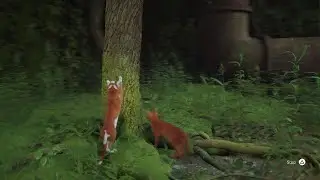 Stray ep 1