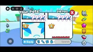 giving pets and stat pets to players in ps123 should play it's fun and if u need a pet I got you