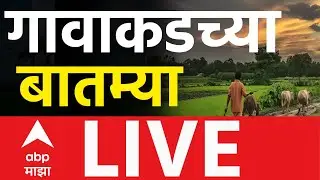 Maharashtra News LIVE Updates | Local Body Election | Nagar Panchayat | Nagar Parishad | ABP Majha