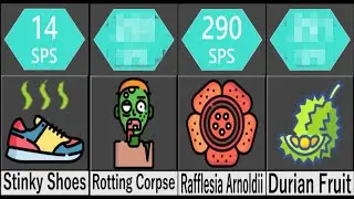 Comparison: Worst Smell in The World | Universal Data