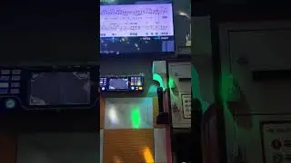 야생화-(박효신)
