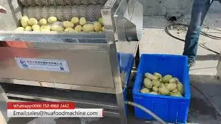 Eletctric Potato Washing And Peeling Machine Commercial
