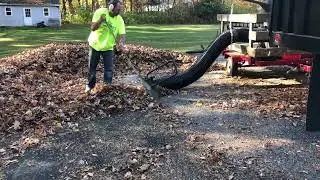 SATISFYING LEAF CLEANUP VIDEO