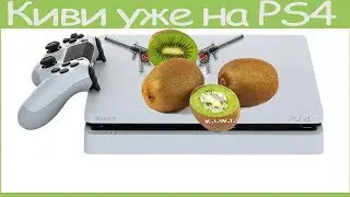 Kiwi в Warface на P$4