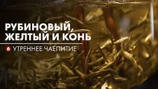 Новый чай! Шу пуэр, рубиновый и желтый | Стрим Art of Tea