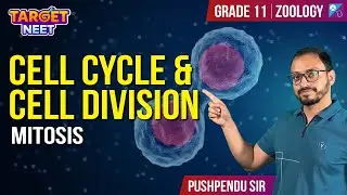 Cell Cycle and Cell Division | Mitosis | NCERT | NEET 2024 | Pushpendu Sir