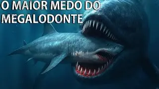 O Maior Inimigo do Megalodonte： A Baleia Mais Perigosa da Hist&oacute;ria da Terra!