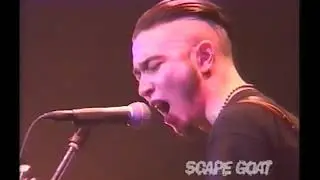 SCAPE GOAT - LIBERTEE