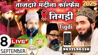 Tajdare Madina Co. Tigri 8-9-2025