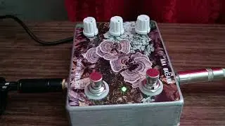 Vintage Delay VD1