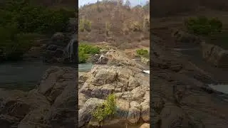 #natureclip