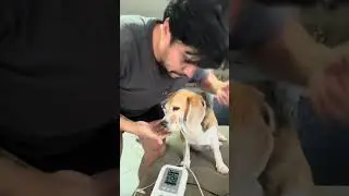 Um dos cuidados mais importantes da nossa rotina #petseeu #cachorro #cancerempets #rotinapet