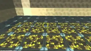 SERVER SPOTLIGHT