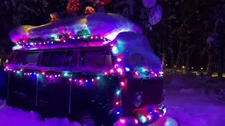 Alaska Botanical Garden winter lights tour - Anchorage