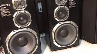 Loa diaotne DS-66Ex bass 27cm, 460W/cặp chỉ 4,2 triệu:0964822579