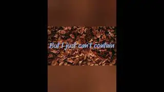Scarletta- There she goes (cover)