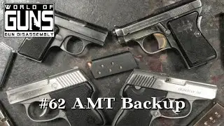 World of Guns: Guns Disassembly #62 | AMT Backup