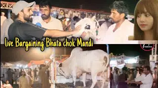 live Bargaining Bhata chok Mandi 2021 | mandi ky khatrnaak bail