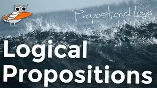 What is a proposition? What is truth?