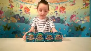 Морские животные. 3D puzzles на канале Boo-boo-ka