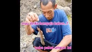 strike hampala kali ringin tekhnik ngoncer