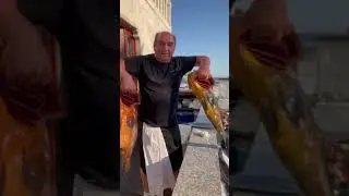 Legedarni Mijo 