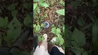 Detector de metal na praia