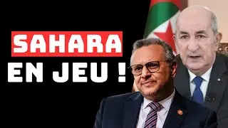 Sahara occidental : un conseiller clé de Trump à Alger pour peser sur Tebboune