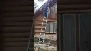 🛖 Exterior Wood 🪵  Log Cabin Stain Application 🙃 #shorts #staining