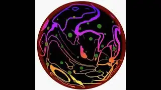fermi paradoxic brothers argue the tragedy of the three body problem