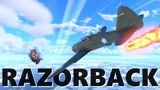 State-Sanctioned Arsonist | P-47D-23-RA Stock to Spaded