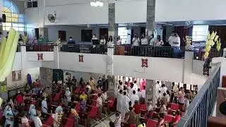Palm Sunday 2022 at PLDM (Diocese of Cubao)