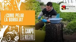 ¿Cómo pelar la borraja a nivel profesional?