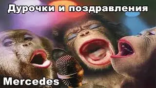 Mercedes | ДУРОЧКИ И ПОЗДРАВЛЕНИЯ