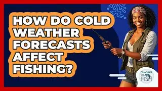 How Do Cold Weather Forecasts Affect Fishing?