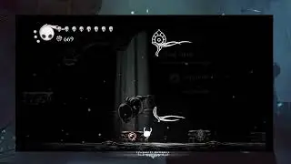 #33 Hollow Knight : Fin de la quête de Quirrel, on ouvre la Maison des Dieux et Mère de Gruz Radiant