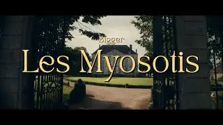 Bigger - Les Myosotis [official video]