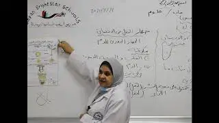 مادة العلوم للصف الثامن الأساسي/   النقل في المخلوقات الحية