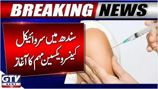 HPV Vaccine Campaign Announced in Sindh | Breaking News