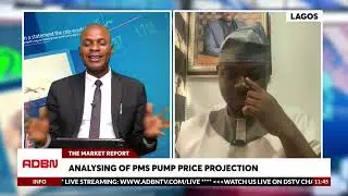 Analysing of PMS Pump Price Protection