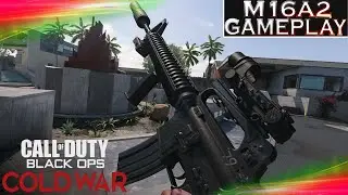 Black Ops Cold War M16A2 (M16) Gameplay