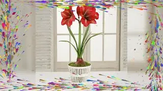 D&eacute;couvrez le Mythe Horticole : Amaryllis et le Frigo, Vraiment Efficace ?
