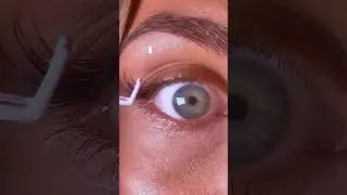 Improve Your Lash Application
