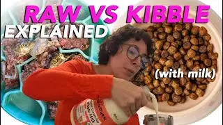 Kibble vs. Raw Dog Food: Breaking Down Cost, Protein, and Nutrition with Dog Math