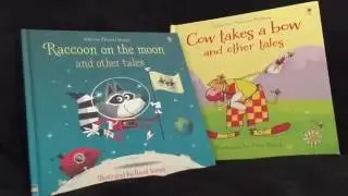 The Usborne Bookshelf - Phonics Stories - New Title